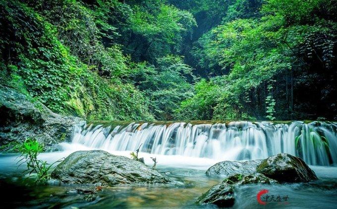 梦想的后院
